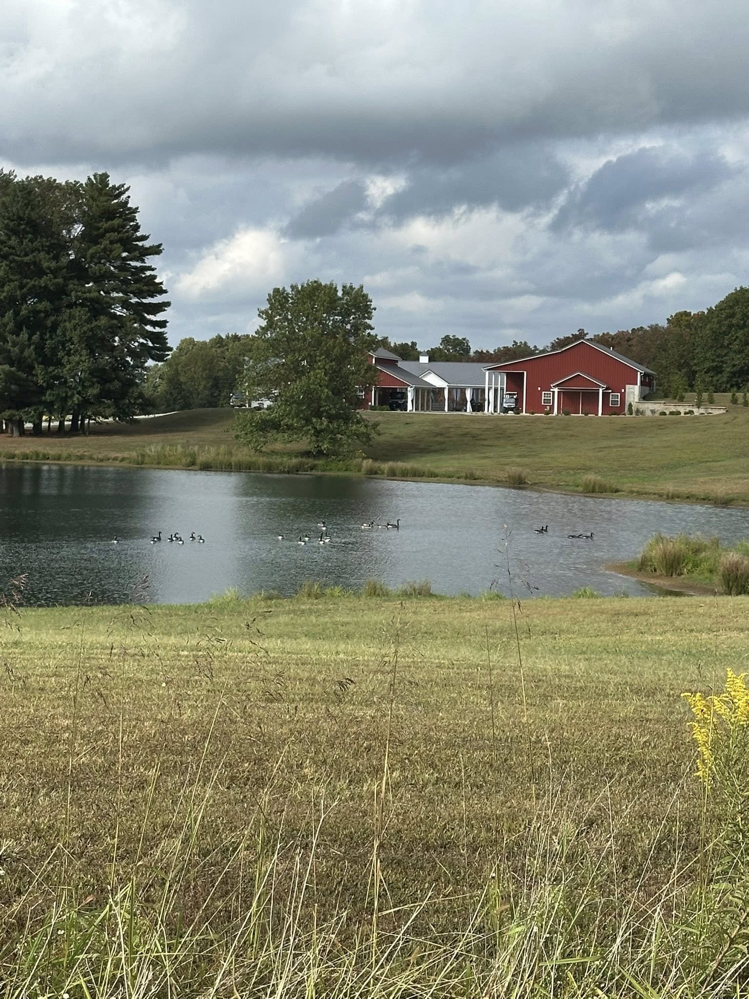 Barn reflection in the pond